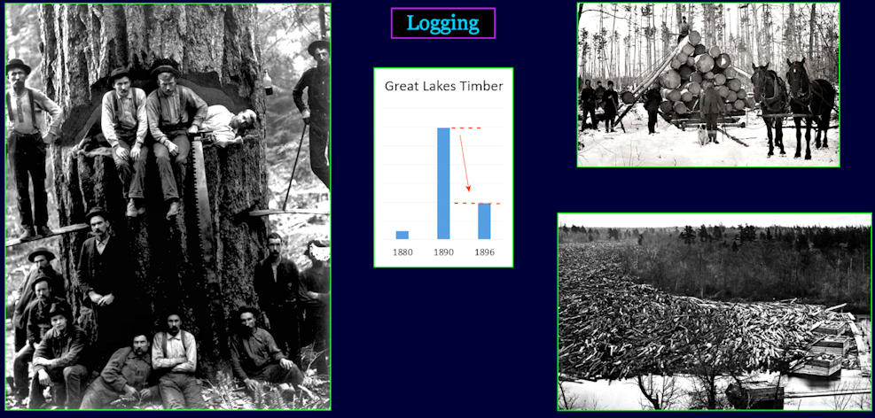 Logging, 1910